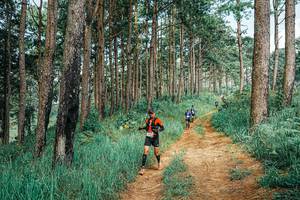 BIB: 
                            <button type="button" onclick="openModal(25742995)" class="btn btn-primary btn-sm float-right btn-popup" data-toggle="modal" data-target=".modal-high-quality">
                        <i class="fas fa-shopping-cart"></i> Add to Cart
                    </button>
                                            <button type="button" onclick="isThisMe(25742995, true)" class="btn btn-success btn-sm float-right btn-popup btn-isme hidden" data-toggle="tooltip" data-placement="bottom" title="นี่คือรูปของคุณใช่ไหม คลิกที่นี่เพื่อเอาเข้าอัลบั้ม">
                        <i class="fas fa-plus"></i> Add to album
                    </button>
                    <button type="button" onclick="isThisMe(25742995, false)" class="btn btn-warning btn-sm float-right btn-popup btn-isnotme hidden">
                        <i class="fas fa-ban"></i> Remove from album
                    </button>